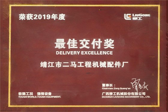 2019年度最佳交付奖